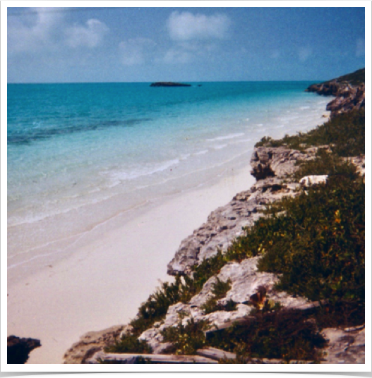 "Conching" at Cooper Jack Bight, Providenciales.
